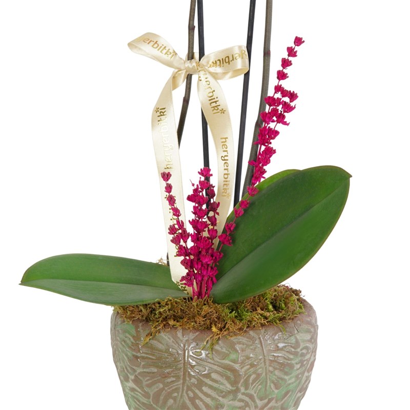 Leaf Purple Orchid (Mor Orkide Aranjmanı)