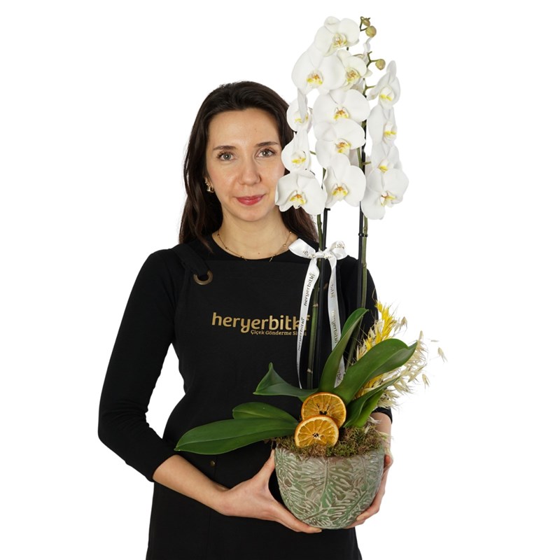 Beyaz Orkide Aranjmanı - 2 Dallı, Saksıda (Leaf White Orchid)