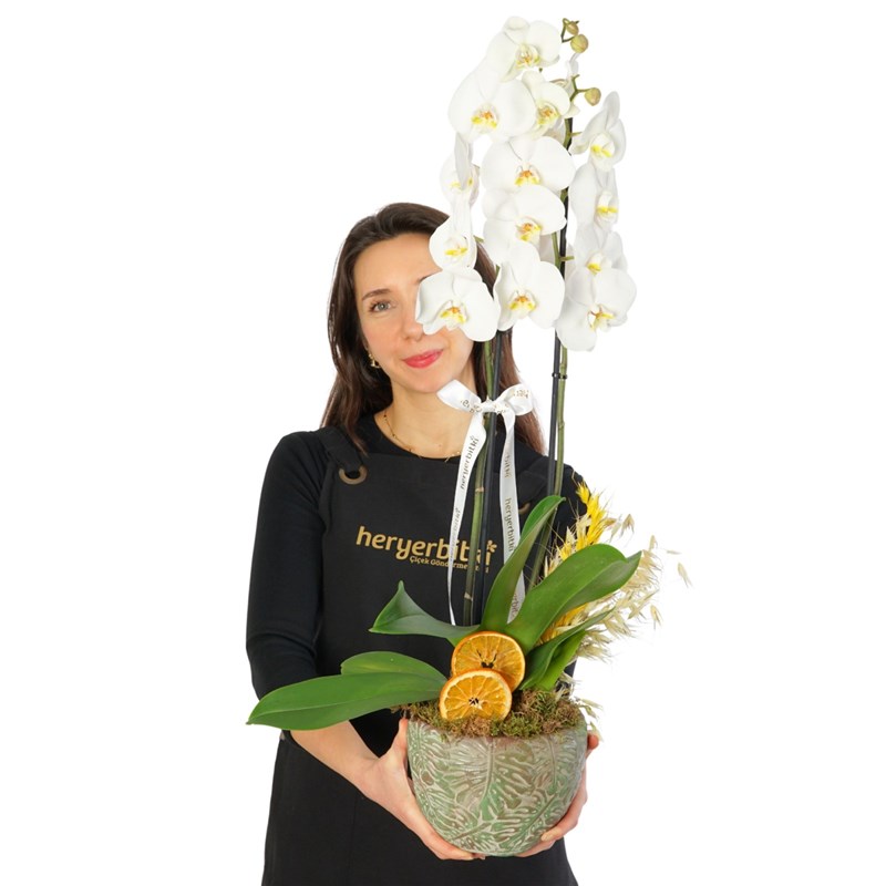 Beyaz Orkide Aranjmanı - 2 Dallı, Saksıda (Leaf White Orchid)