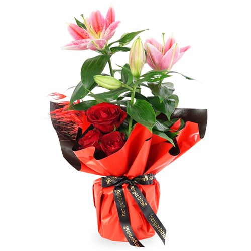 Majesty (Cam Vazolu Kırmızı Güller Aranjmanı)