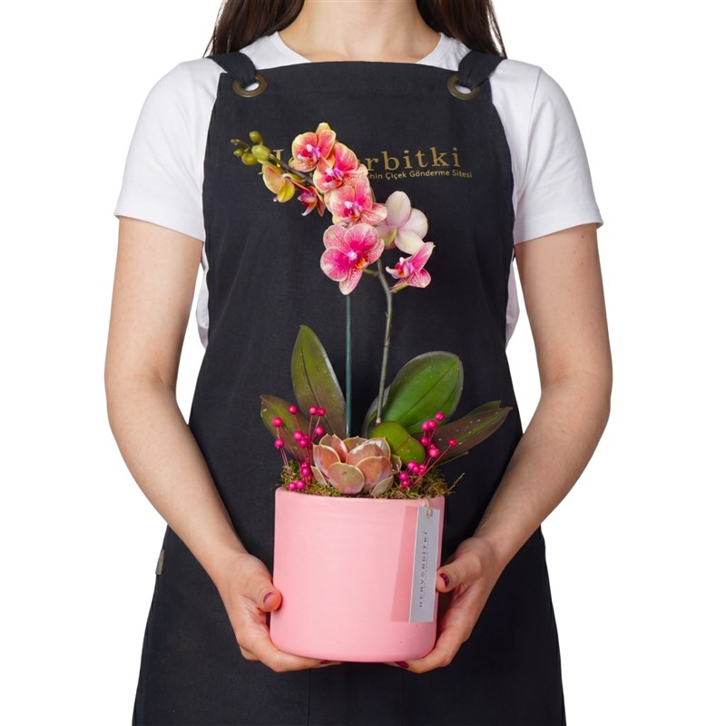 Pink Coral Gift (Fire Orchid Arrangement)