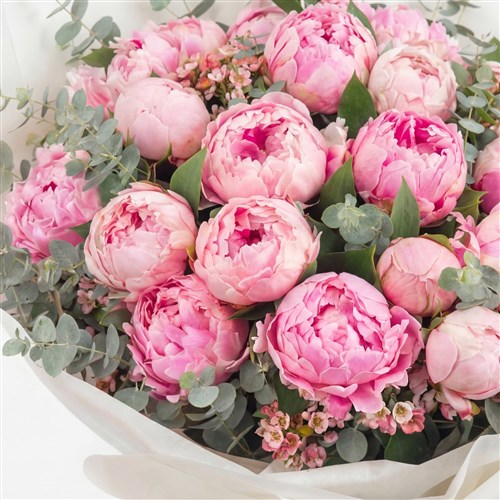 Şakayık Buketi - 25'li Pembe Şakayık