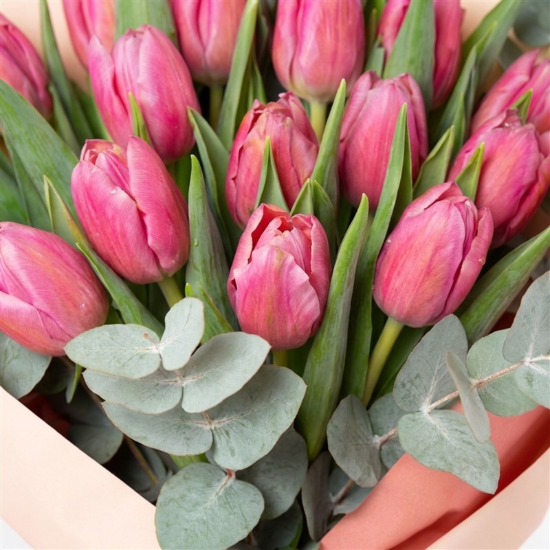 Blush Tulips (Pink Tulip Bouquet)