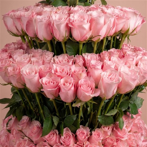 301 Pembe Gül Aranjmanı (Empire Pink Roses)