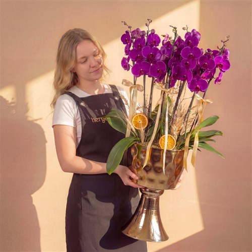 Purple Crown Orchid (10 Dallı Mor Orkide Aranjmanı)