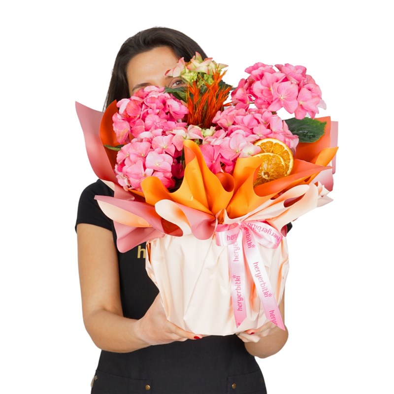 Pink Hydrangea in Gift Packaging