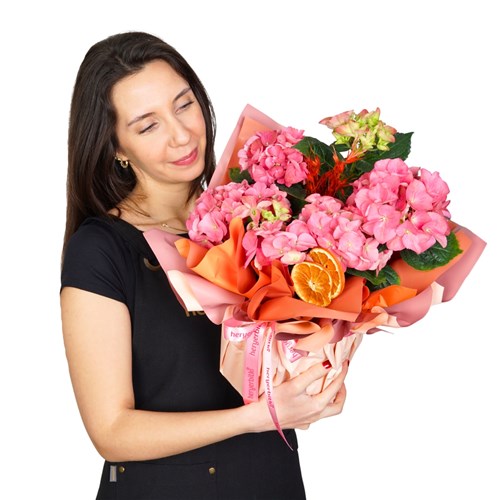 Pink Hydrangea in Gift Packaging