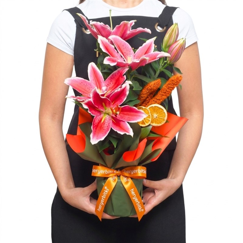 Sunset Lily (Fragrant Gift Lily)