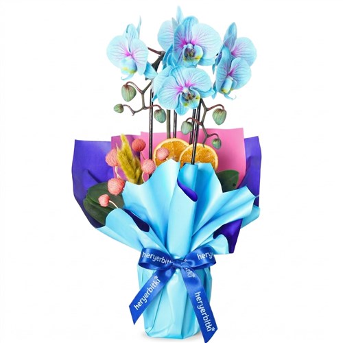 Çember Mavi Orkide Tasarımı (Cascade Pure Gift )