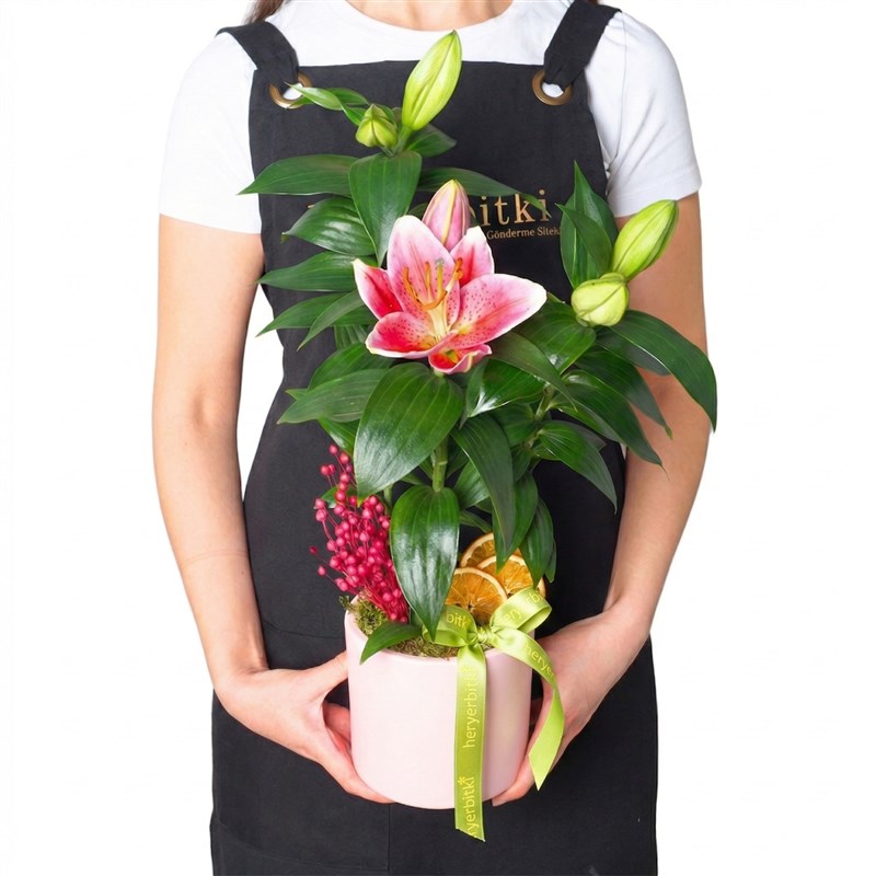 Perfect Gift Lilium (Scented Gift Lily)