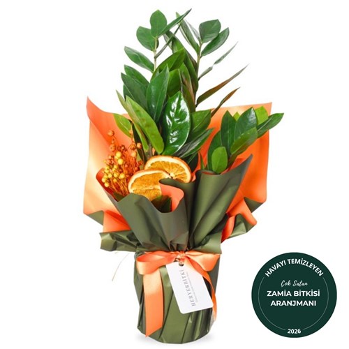 Zamioculcas Gift (Hediye Paketli Zamia Çiçeği)
