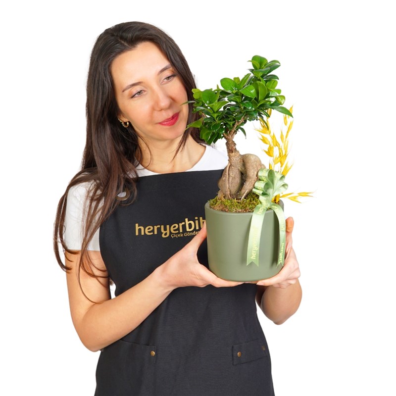 Bonsai Yaşam Ağacı Hediyesi