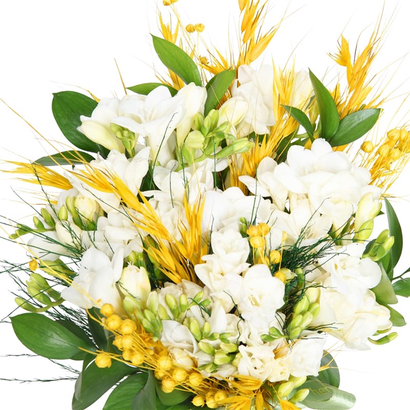 White Freesia Arrangement in a Vase