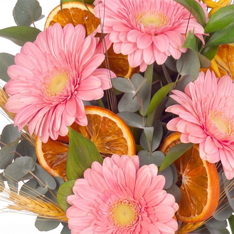 Pink Gerberas in a Vase