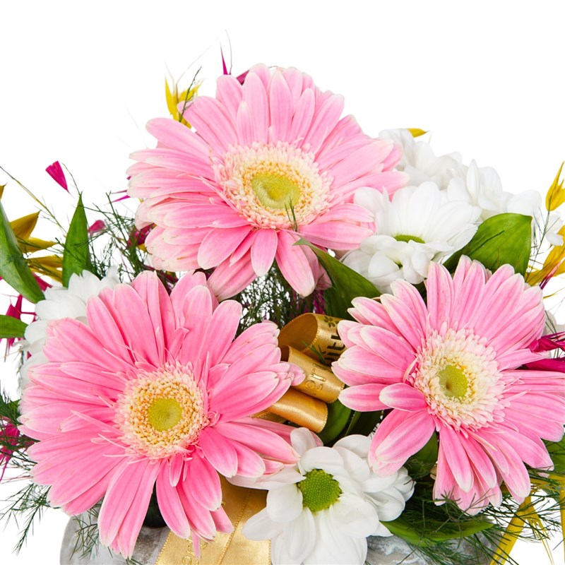 Blush Pembe Gerbera ve Papatya Aranjmanı
