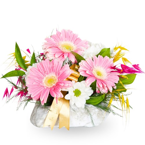 Blush Pembe Gerbera ve Papatya Aranjmanı