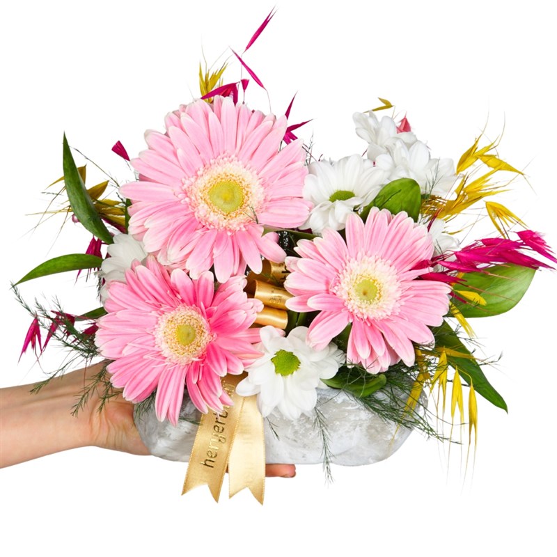 Blush Pembe Gerbera ve Papatya Aranjmanı