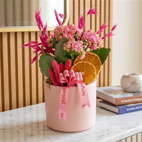 Pembe Saksıda Çiçekli Pembe Kalanşo