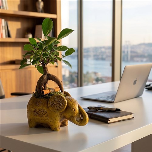 Şans Fili Bonsai Tasarımı (Lucky Charm)