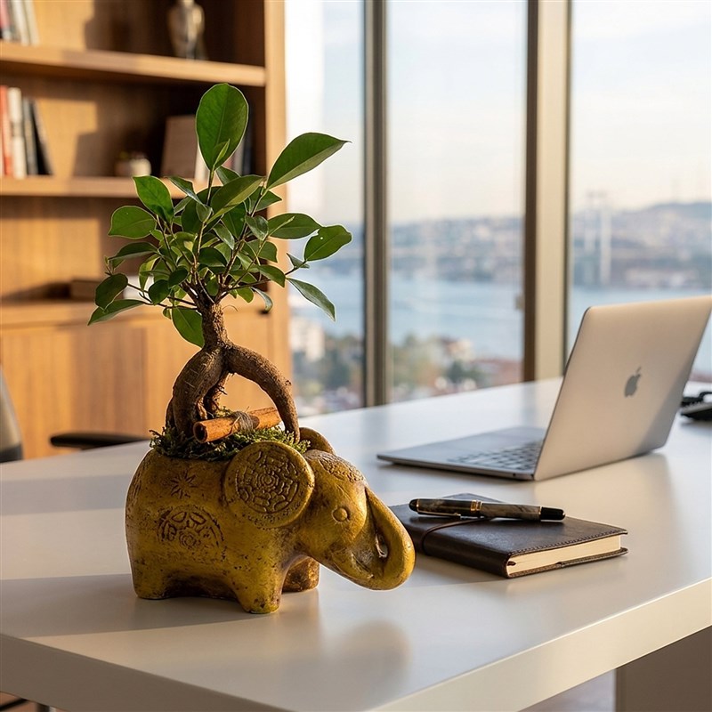 Şans Fili Bonsai Tasarımı (Lucky Charm)