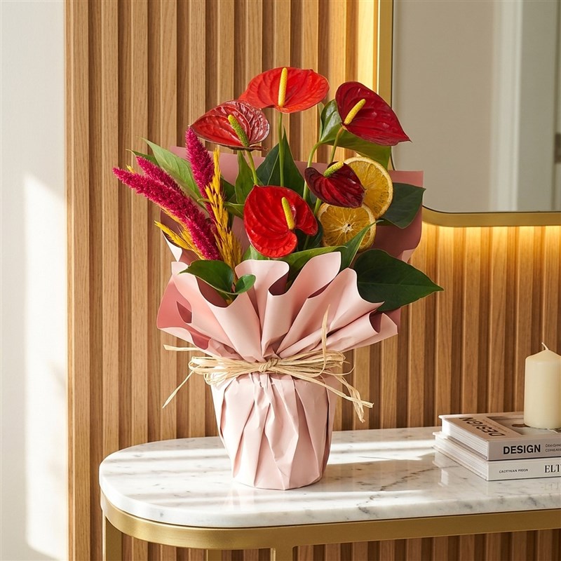 Special Anthurium Gift (Kırmızı Antoryum Aranjmanı)