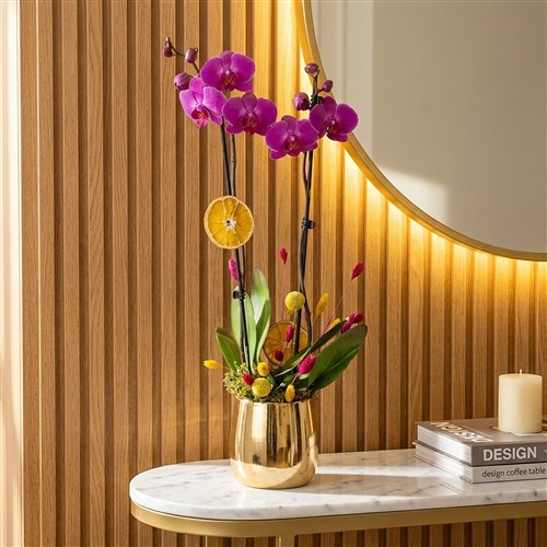 Premium Gold Purple (Altın Vazoda Mor Orkide)