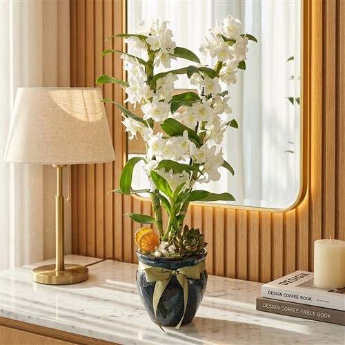 Beyaz Dendrobium Aranjmanı - Premium Vazoda