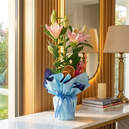 Lilyum Çiçeği - Mavi Hediye Paketli (Blue Aura)