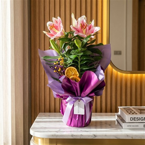 Lilyum Çiçeği - Mor Paketli, Kokulu Lilyum
