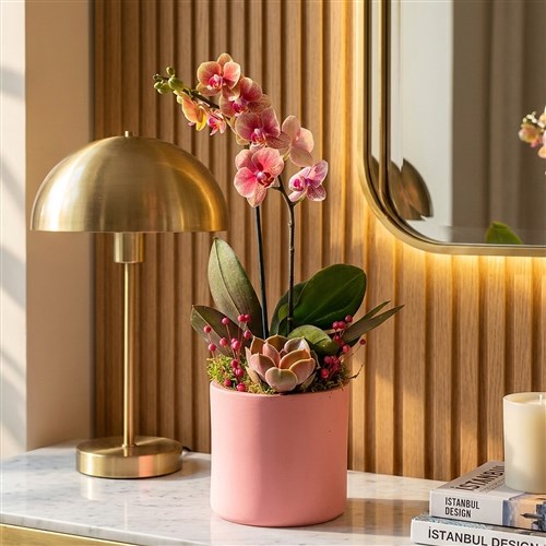 Pink Coral Gift (Ateş Orkide Aranjmanı)