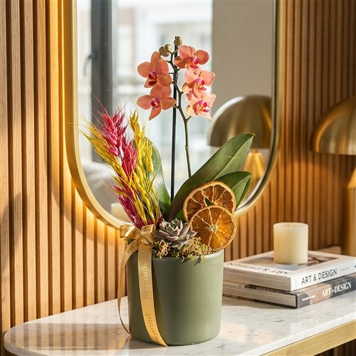 Coral Garden Gift (Fire Orchid Arrangement)