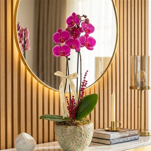 Leaf Purple Orchid (Mor Orkide Aranjmanı)