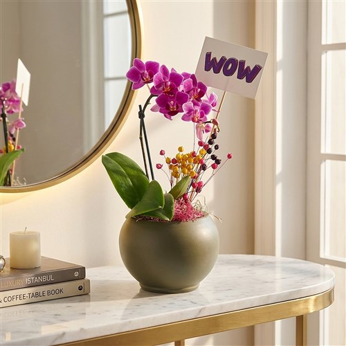 Cute Wow Orchid (Purple Orchid Arrangement)
