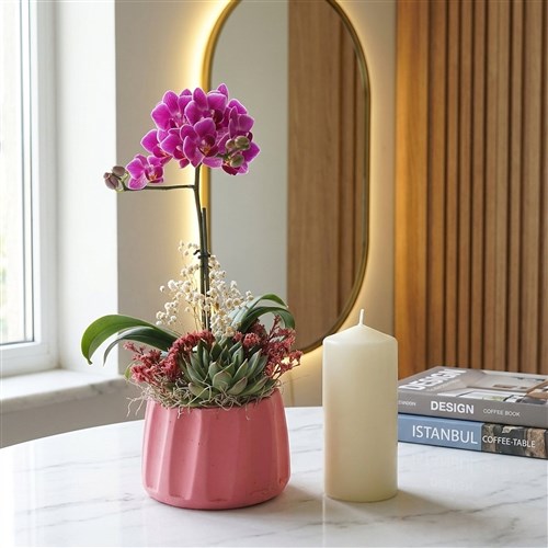 Purple Orchid Gift (Mor Orkide Aranjmanı)