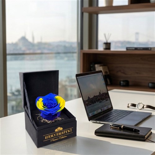 Sarı Lacivert Kutuda Solmayan Gül Fenerbahçe