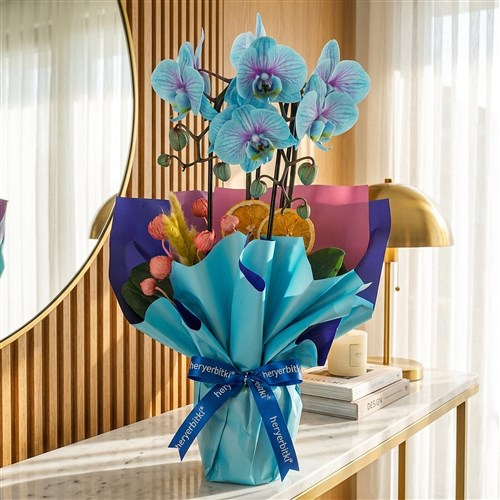 Çember Mavi Orkide Tasarımı (Cascade Pure Gift )