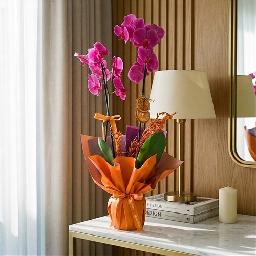 Mor Orkide - 2 Dallı (Vibrant Purple Orchid)
