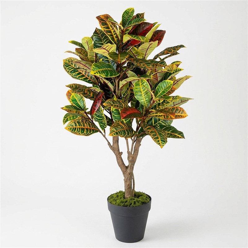 Artificial Croton Tree 175cm - with Clay Pot
