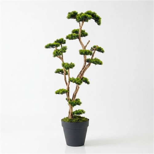 Yapay Bonsai Zen 175cm - Çömlek Saksılı