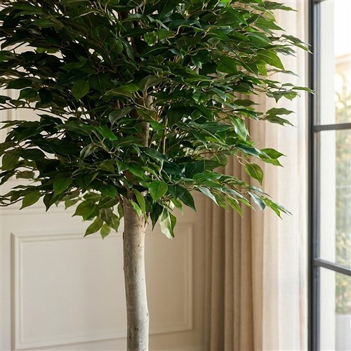 Yapay Benjamin Ağacı 160cm - Plastik Saksılı