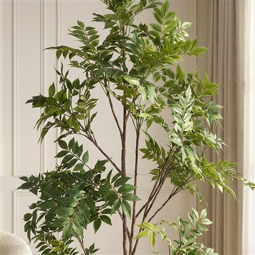 Yapay Japon Lacquer Vernik Ağacı 210cm - Çömlek Saksılı