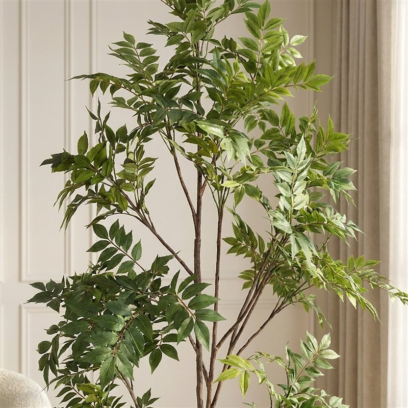 Artificial Japanese Lacquer Tree 210cm - with Clay Pot