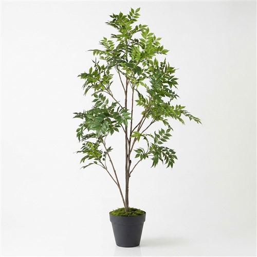 Yapay Japon Lacquer Vernik Ağacı 210cm - Plastik Saksılı