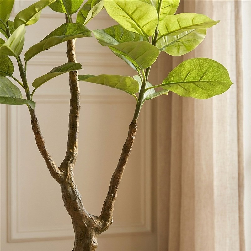 Yapay Yeşil Ficus Audrey 135cm - Plastik Saksılı