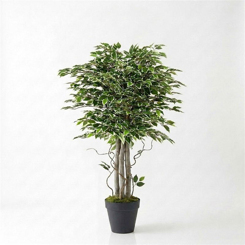 Artificial Benjamin Starlight Tree 135cm - with Clay Pot