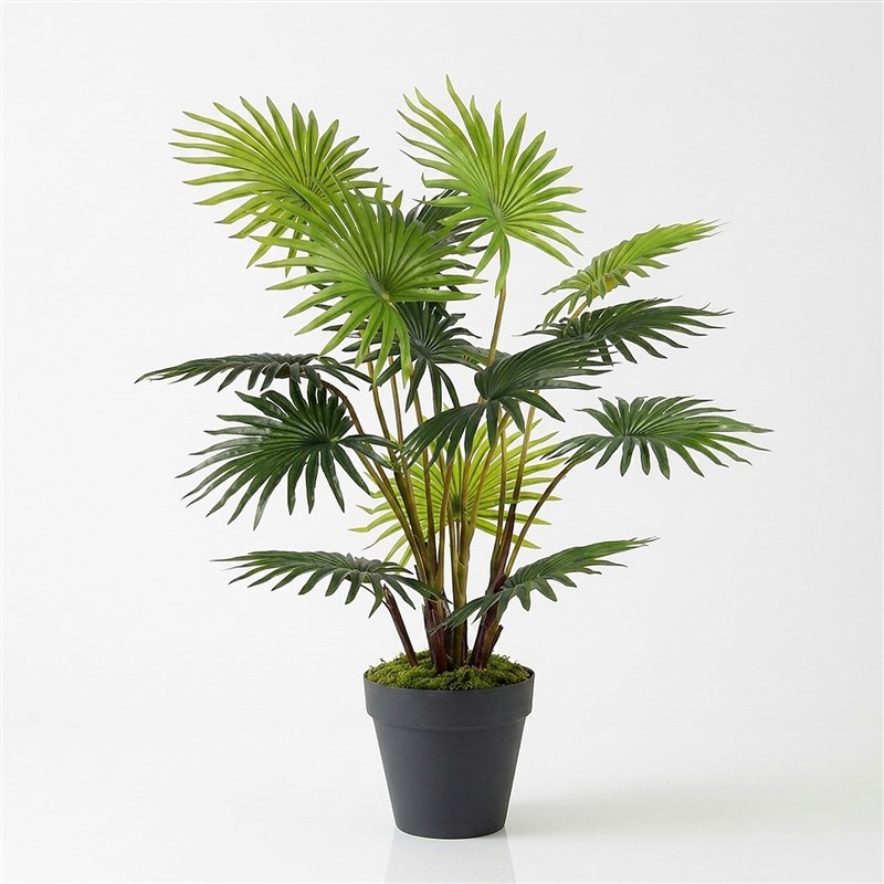 Artificial Fan Palm Tree 135cm - with Clay Pot