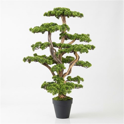Yapay Bonsai Zen Xlarge 180cm - Plastik Saksılı