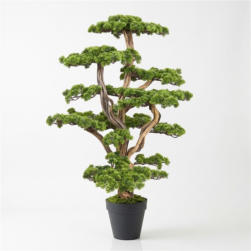 Artificial Bonsai Zen Xlarge 180cm - in Clay Pot