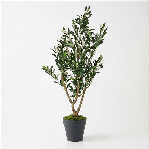 Yapay Zeytin Ağacı 120cm - Plastik Saksılı