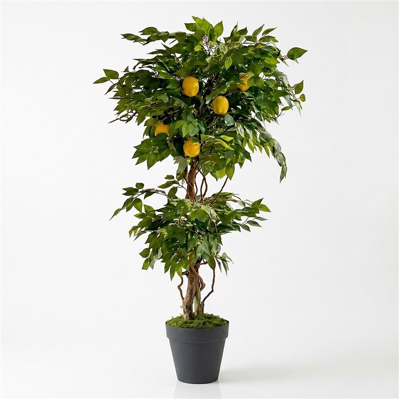 Yapay Limon Ağacı 2 Gövdeli 150cm - Çömlek Saksılı